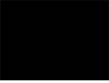 Tablet Screenshot of findingsgroup.com